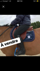 Selle hermes vivace 