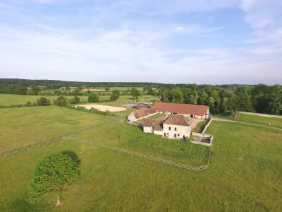 Stud farm allier