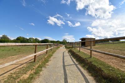 Structure équestre sur 10,14 ha - secteur de guingamp (22)