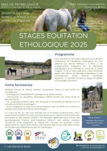 Stage savoirs ffe - equitation éthologique - lot (46)