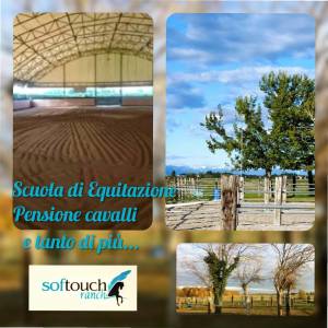 Pensione cavalli - Softouch Ranch 