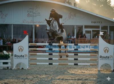 Jument de 6 ans sbs par couleur latour