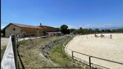 Domaine équestre de 13 hectares avec gîtes