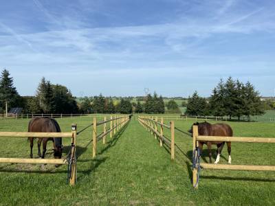 Pension chevaux - ecurie de propriétaires de la béguinais (35)