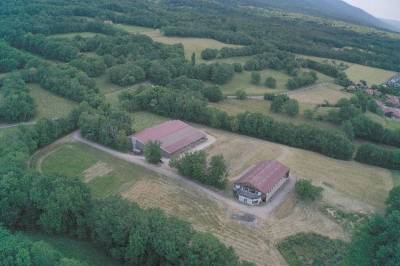 Immobilier professionnel à vendre saint-jean-de-gonville