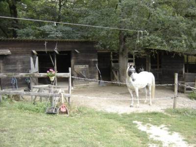 Alloggio equestre in vendita tarn-et-garonne