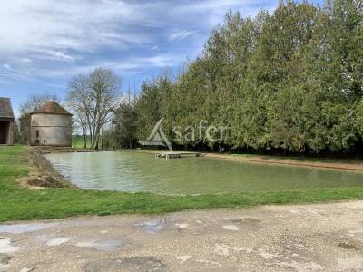 Propriété bâti avec 20ha à l'Est du Loiret