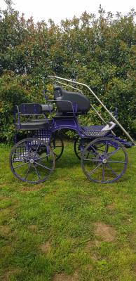 Carriage - Marathon for leisure - Other brand - EQUITECH PASSION 