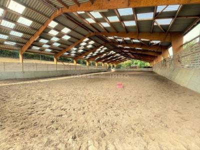 Centre Equestre, Poneys-club en Activité aux portes de Paris