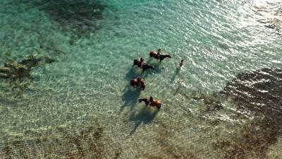 ATE (Accompagnatore Turismo Equestre) - CDD Tempo pieno - Corse-du-Sud Francia