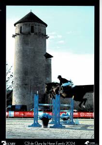 Merrie belgisch sportpaard te koop 2017 donker bruin / bai ,  couleur latour