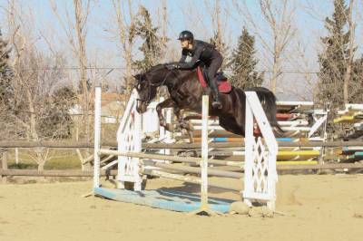 Cours d’équitation à die écurie les chevaux du diois