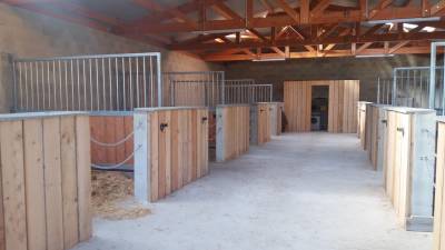 élevage du vallon des huppes - pension chevaux (87)