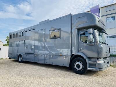 Zware paardenvrachtwagen (groot rijbewijs) renault conceptpgo 8  2013 tweedehands