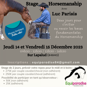Stage horsemanship avec luc parisis