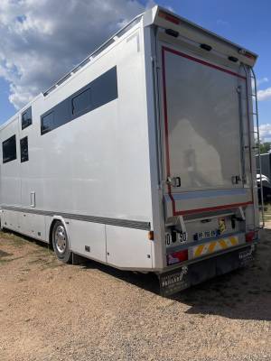 Camion per cavalli man 480 cv tgx  2019 occasione
