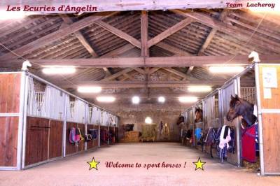 Pension chevaux sports - les ecuries d'angelin (42)