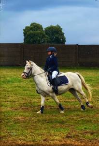 Mare british spotted pony for sale 2007 white