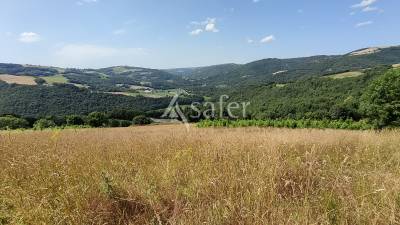 24ha de prairie en aveyron