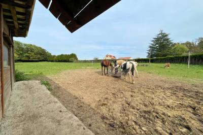 Charmante propriété de 1,2ha située dans l'Eure (27)