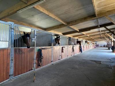 Pension boxs paddocks - educ’horse (17 - corme ecluse)