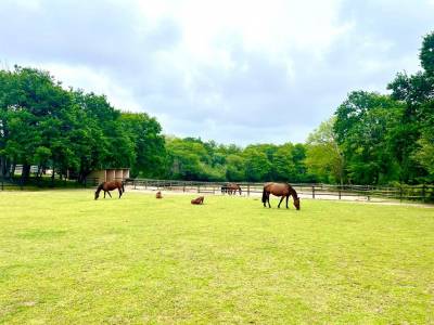 Domaine Equestre à deux pas de la mer sur 3,3 Ha  Secteur Bi