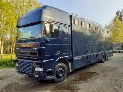 Zware paardenvrachtwagen (groot rijbewijs) daf xf 480 2003 tweedehands