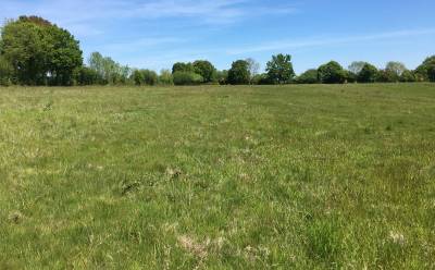 26 ha à vendre - normandie - région livarot (14)