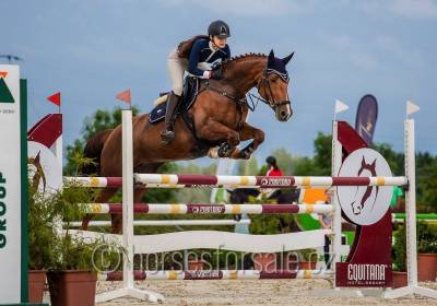 Jument cheval de sport tchèque  a vendre 2014 alezan par guidam sohn