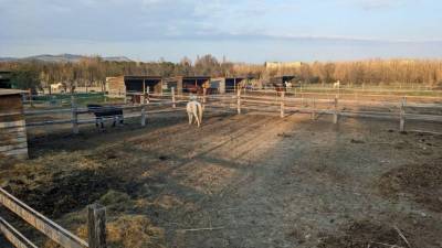 Equestrian property  bouches-du-rhône