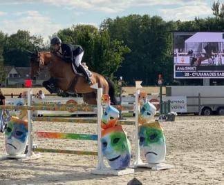 Groom, showjumping - other contract other - val-d'oise france