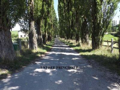 Propriete agricole sur 50 hectares attenants nord-isere