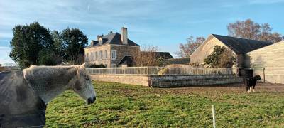 Luxurious equestrian property  calvados