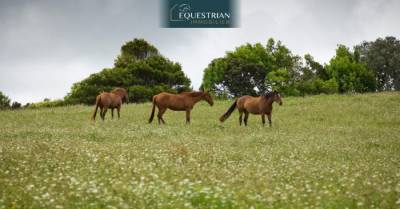 Equestrian property  gers