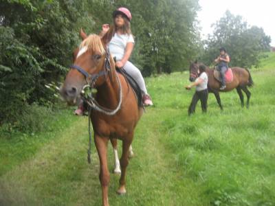 Pension chevaux poney 