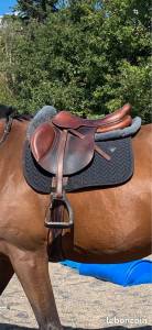 Selle herve godignon / jump'in one 17,5pouces