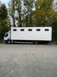 Vends camion chevaux pl 10 chevaux tbe dispo de suite