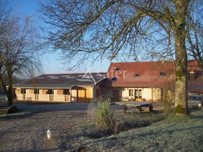 Propriete equestre 12 hectares et d'accueil