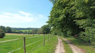 Propriété d'élevage de 34 ha à deux pas du haras du pin