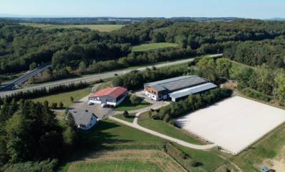 Haras d'exception à vendre en alsace, 10ha d'un tenant