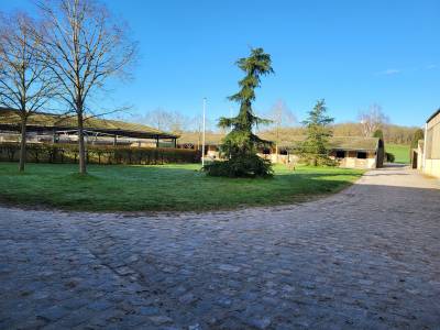 Pension chevaux - haras de bory (78 - la boissiere ecole)