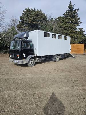 Camion chevaux 