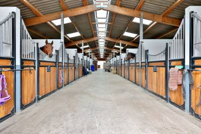 Luxurious equestrian property  ain