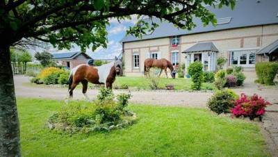 Luxurious equestrian property  eure
