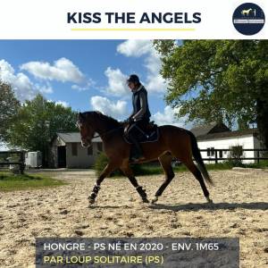 Magnifique bai ps - kiss the angels - 4 ans 