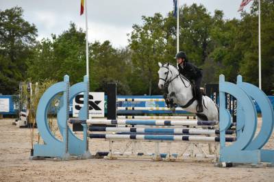 Gelding welsh pony (section c) for sale 2016 grey