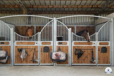 Les ecuries de marenoire 