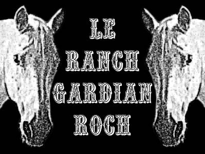 Pension pour chevaux - le ranch gardian roch (74)