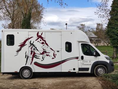 vente camion chevaux VL Theault