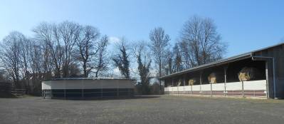 HARAS D'ELEVAGE - Normandie (Orne) - 22ha 90 a